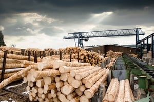 sawmill_shutterstock_48959254