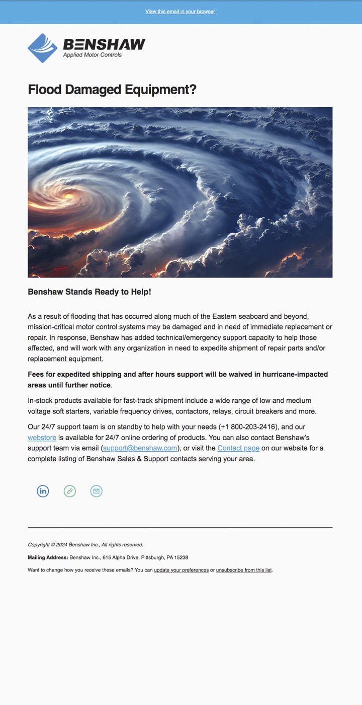 Email Newsletter Preview