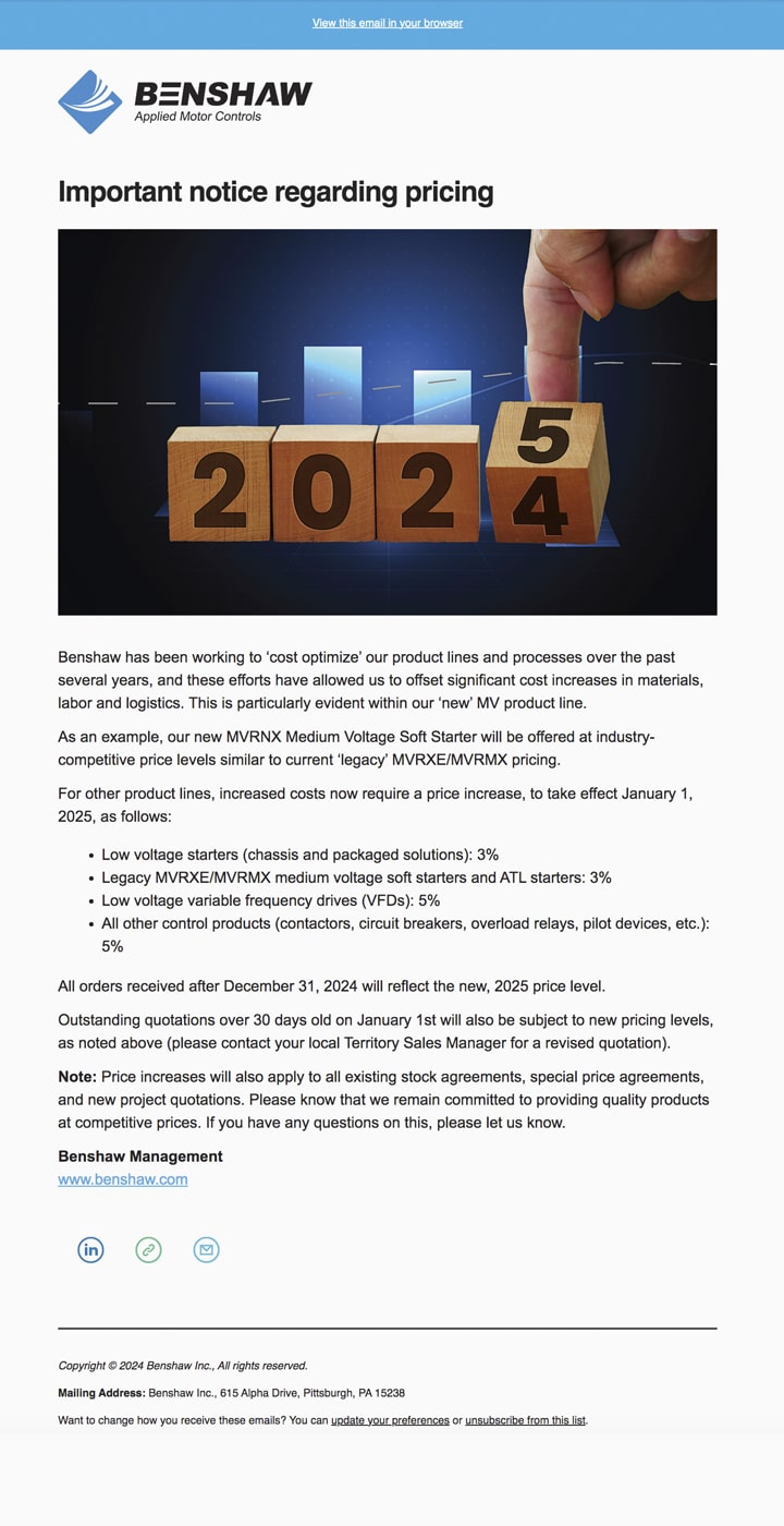 Email Newsletter Preview