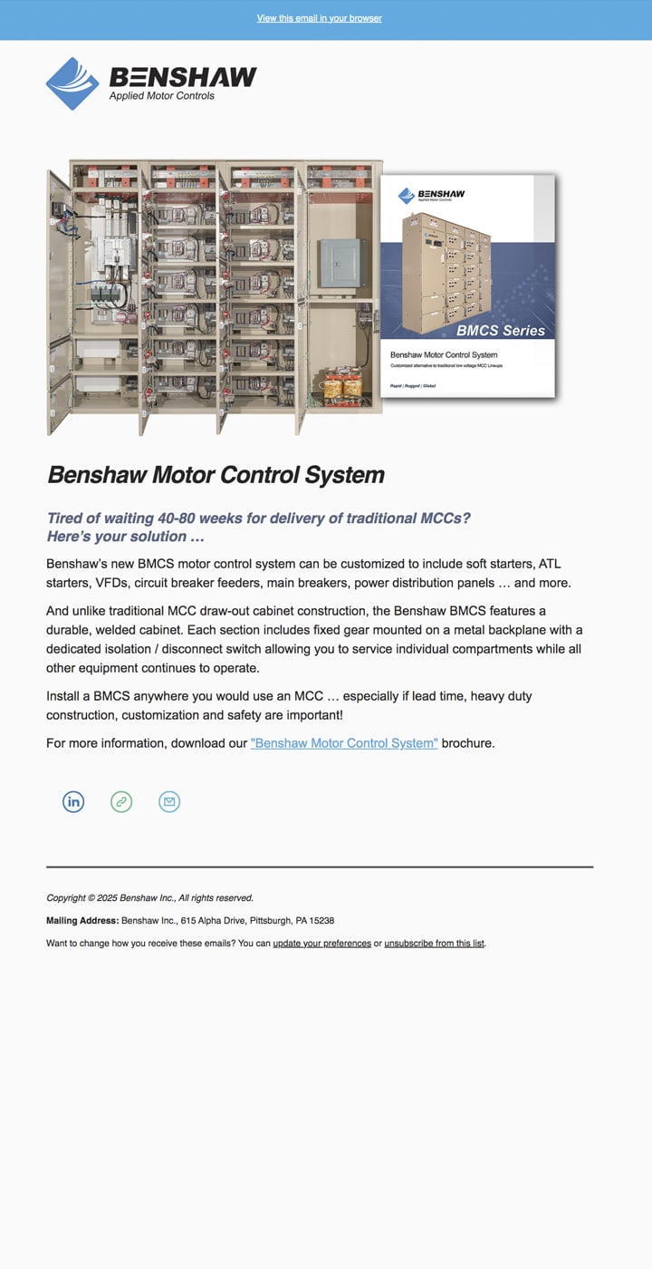 Email Newsletter Preview